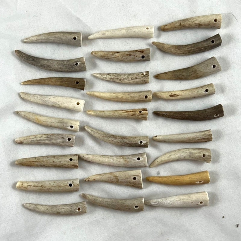 thumbnail image 2 of Deer/Elk Antler Tips – Pack Of 10 (3-3.5 Inch) Clean Toggles For Crafters 2 of 4