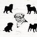 Pug silhouette SVG Pug poster Commercial use ok