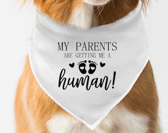 My Parents are Getting Me A Human Dog Bandana. Pregnancy Baby Announcement, Pregnancy Announcement Dog Bandana.