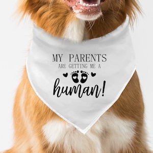 My Parents are Getting Me A Human Dog Bandana. Pregnancy Baby Announcement, Pregnancy Announcement Dog Bandana.