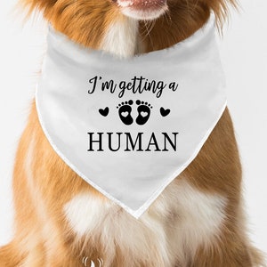 I'm getting a human Dog Bandana, Pregnancy Baby Announcement, Pregnancy Announcement Dog Bandana.