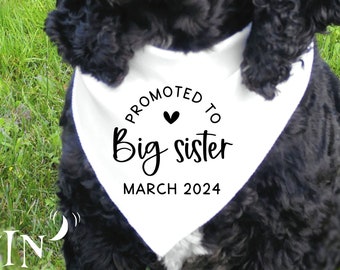Promoted To Big Sister Dog Bandana, Pregnancy Announcement Dog Bandana, Custom Date Dog Bandana, Baby Announcement, Baby Announcement Pets.