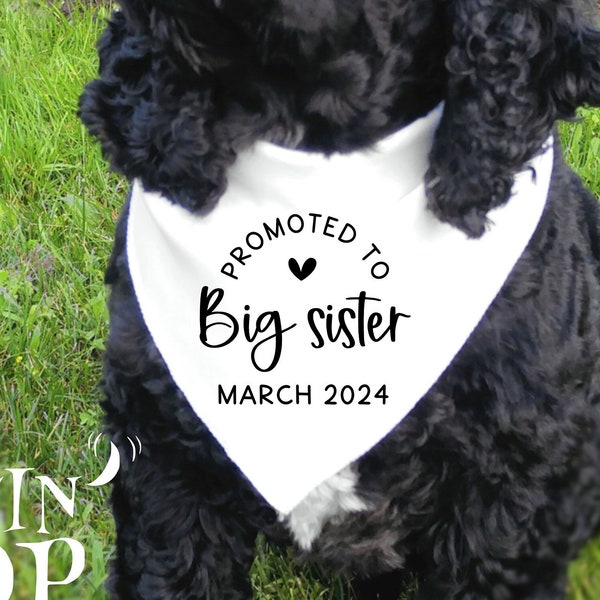 Promoted To Big Sister Dog Bandana, Pregnancy Announcement Dog Bandana, Custom Date Dog Bandana, Baby Announcement, Baby Announcement Pets.