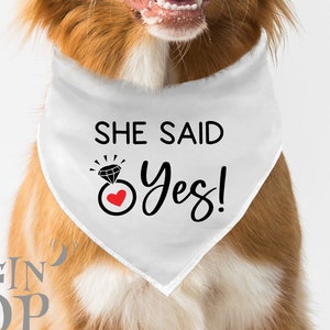 She Said Yes Dog Bandana, Wedding Announcement, He Popped The Question Dog Bandana, Engagement Dog, Wedding Bandana, She Said Yes Dog Scarf.