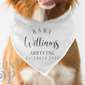 Pregnancy Announcement Dog Bandana, Gender Reveal Dog Bandana, Tie On Dog Bandana, Personalized Last Name Announcement Dog Ban, Baby News.