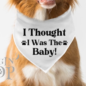 I Thought I Was The Baby Dog Bandana, Pregnancy Announcement Pet Bandana, Baby News Dog Bandana, Dog Pregnancy Announcement bandana.