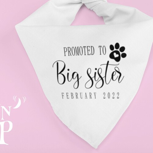 Promoted to Big Sister Promoted to Big Brother Bandana Dog Etsy