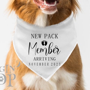 New Pack Member Custom Date Dog Bandana, Pregnancy Announcement Pet Bandana, Baby News Dog Bandana, Dog Pregnancy Announcement bandana.