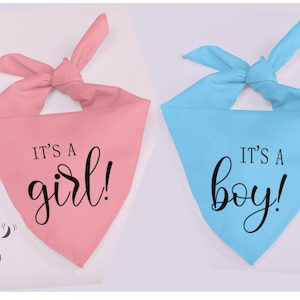 Pregnancy Announcement Dog Bandana, Gender Reveal Dog Bandana, Tie On Dog Bandana, It&#39;s a Boy Dog Bandana, It&#39;s a Girl Dog Bandana.