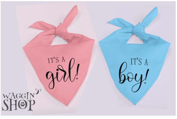 Pregnancy Announcement Dog Bandana Gender Reveal Dog Bandana Tie