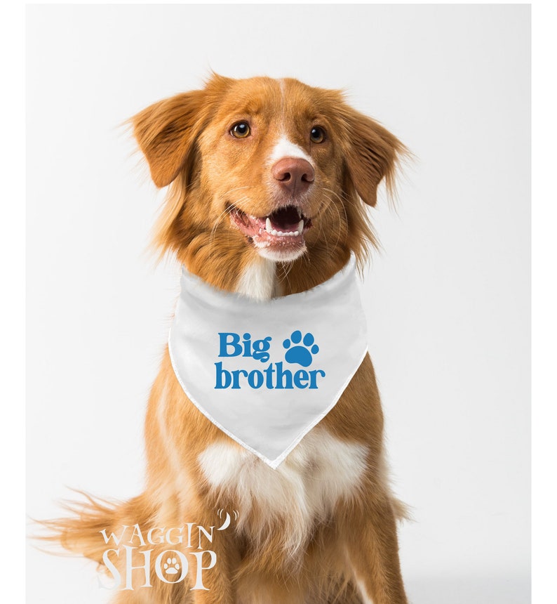 Big Brother Dog Bandana, Little Brother Baby Bodysuit, Tie-On Dog Bandana , Pregnancy Announcement, Baby News Dog Bandana, Photoshoot Gift. image 3