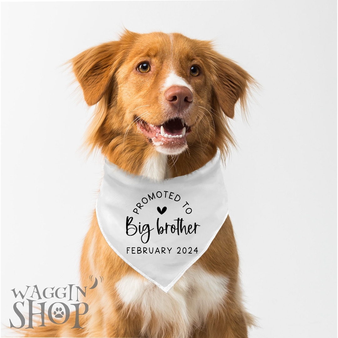 Promoted to Big Brother Dog Bandana, Pregnancy Announcement Dog Bandana