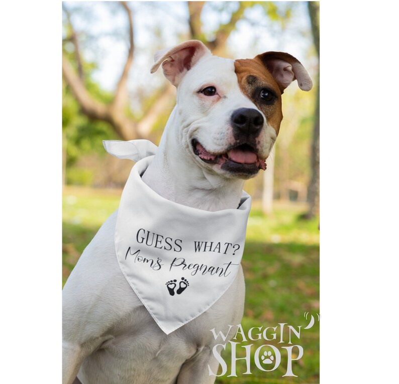 Pregnancy Announcement Dog Bandana Guess What Moms Pregnant Etsy