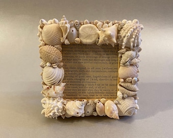 Handmade Seashell Picture Frame with Hand Picked Shells