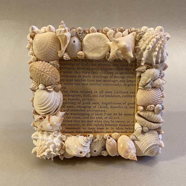 ByDesignShellArt - Etsy