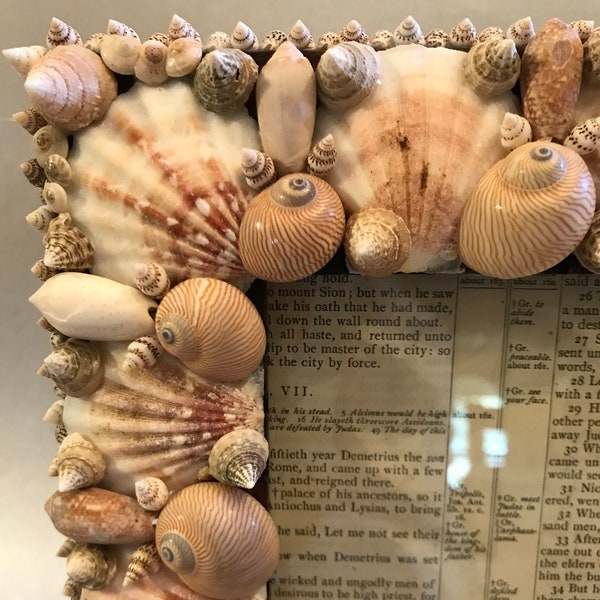 Shell Frame Etsy