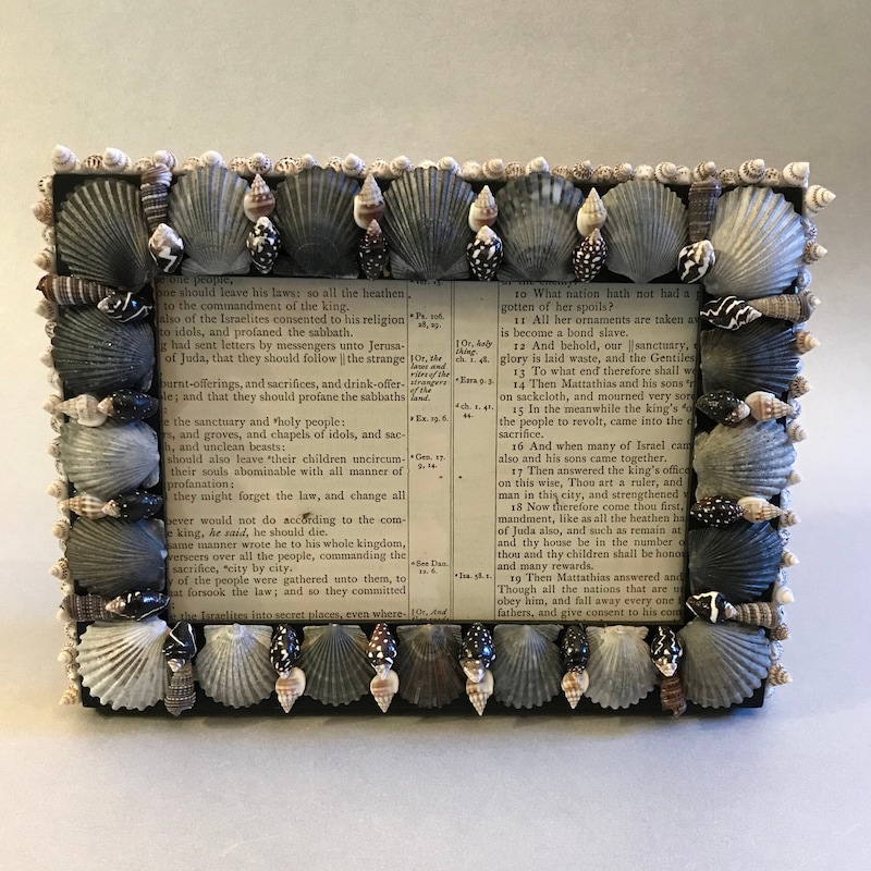 Seashell Frame - Etsy