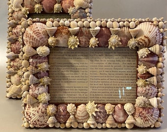 Handmade Seashell Picture Frame from Hand Picked Shells