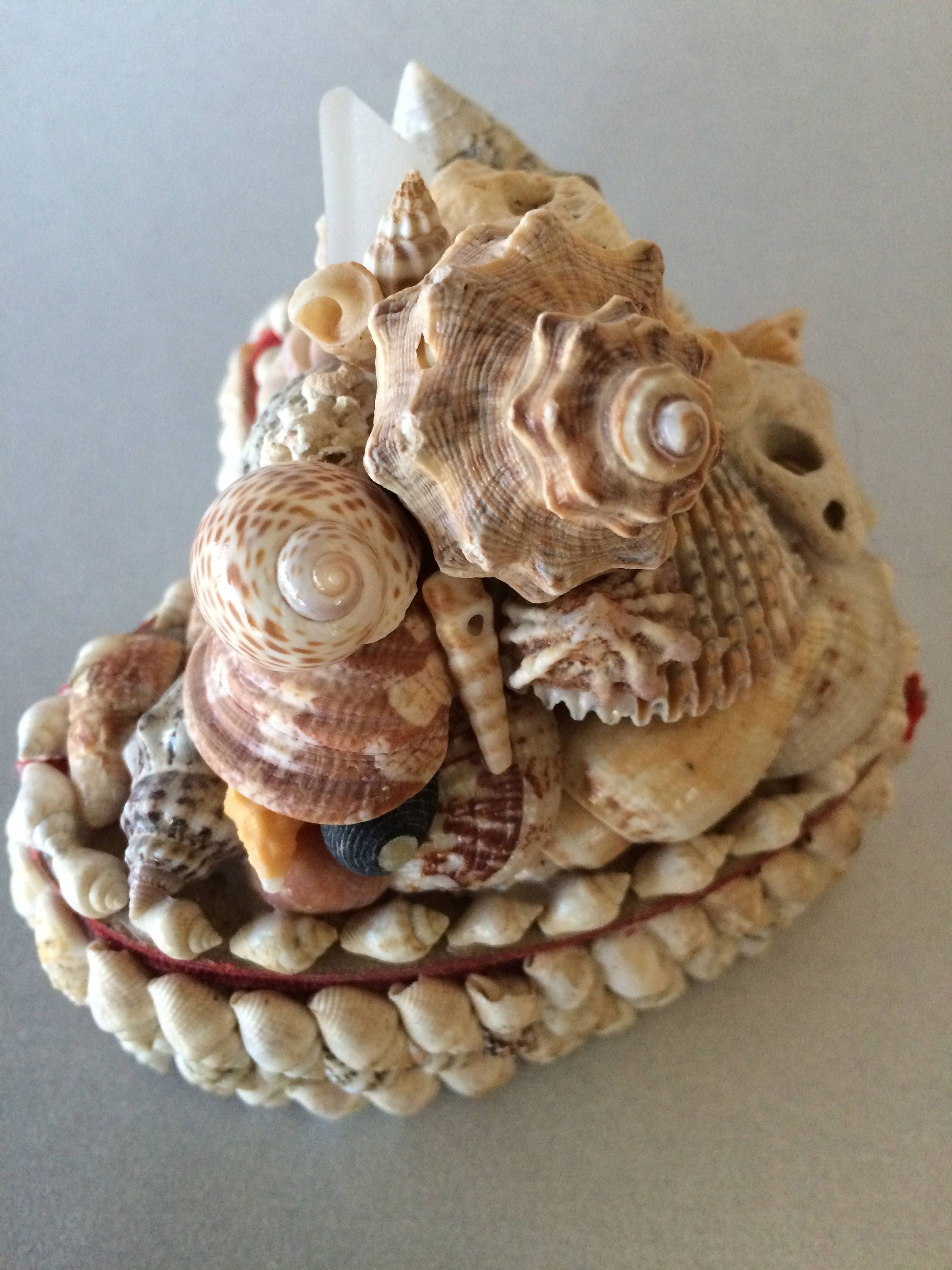 Handmade Vintage Seashell Box One-of-a-kind Shell Box Unique - Etsy