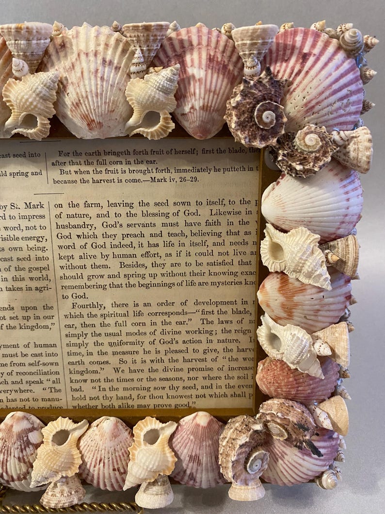 Handmade Seashell Picture Frame With Hand Picked Shells - Etsy