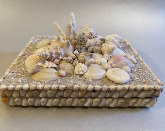 Handmade Seashell Treasure Box, Coastal Decor
