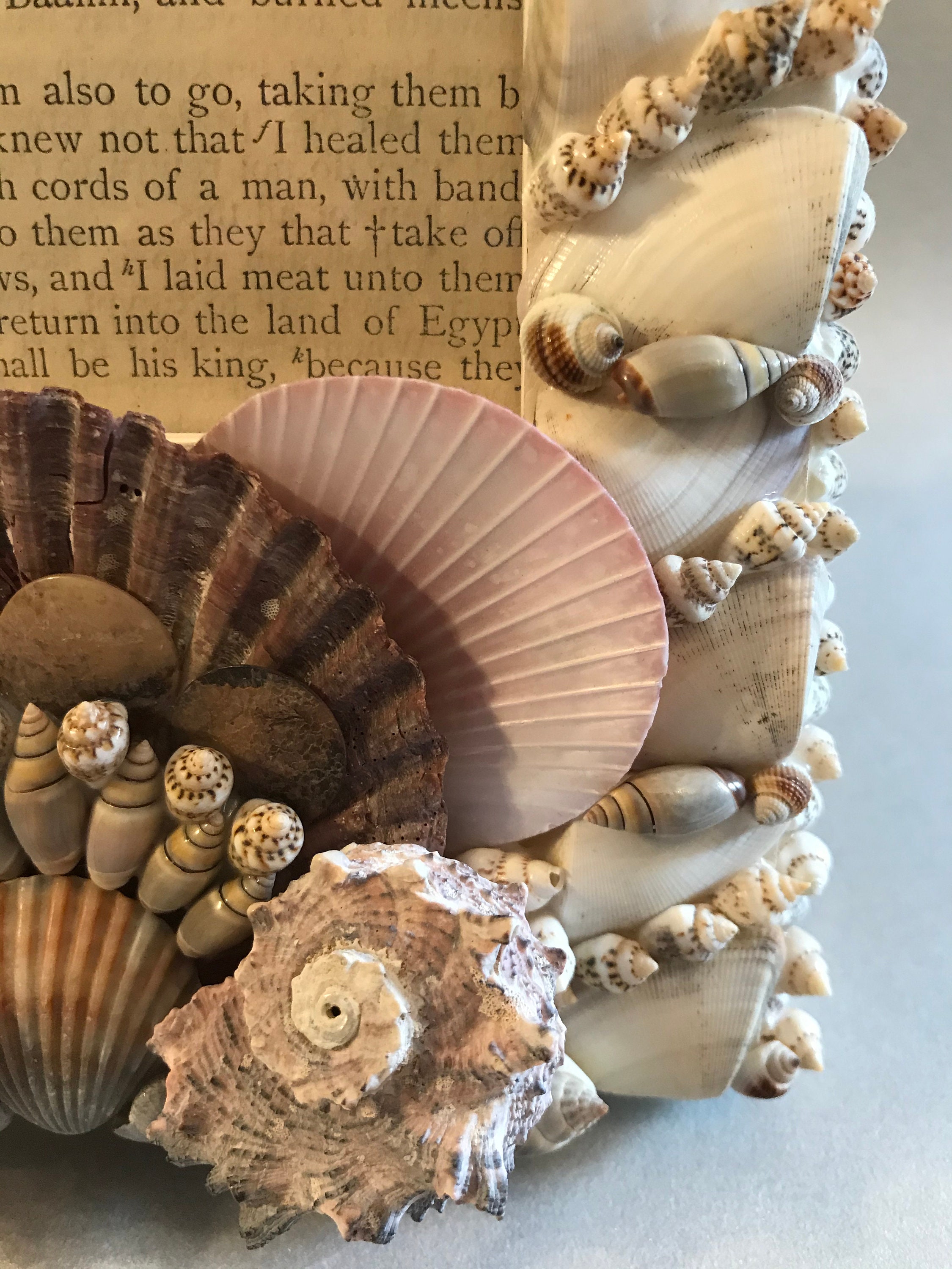 Handmade Seashell Picture Frame With Hand Picked Shells - Etsy