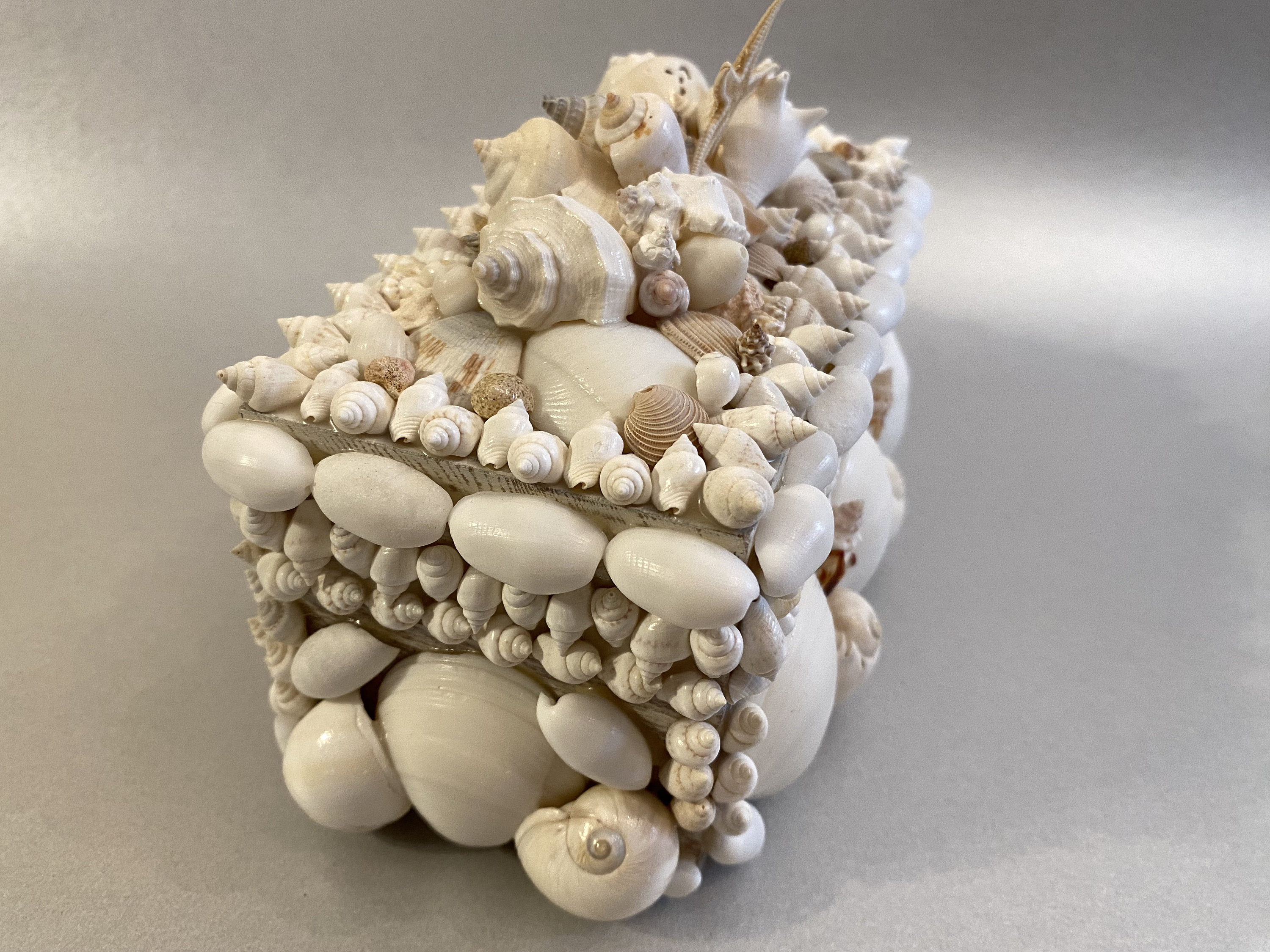 Handmade Shell Box, Embellished Seashell Box, Treasure Box, One of a ...