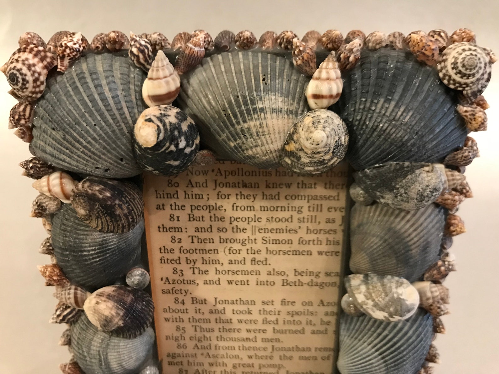 Handmade Shell Frame Seashell Picture Frame Sea Shell Photo - Etsy