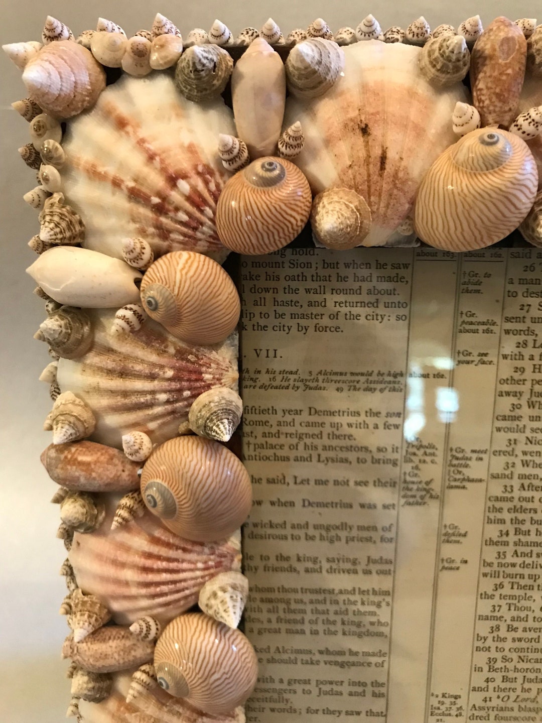 Handmade Shell Frame, Embellished Seashell Frame, Decorative Sea Shell ...