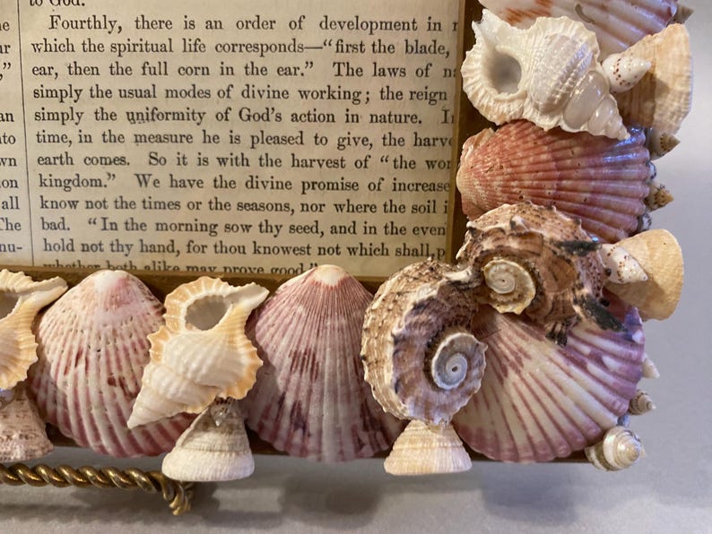 Handmade Seashell Picture Frame With Hand Picked Shells - Etsy