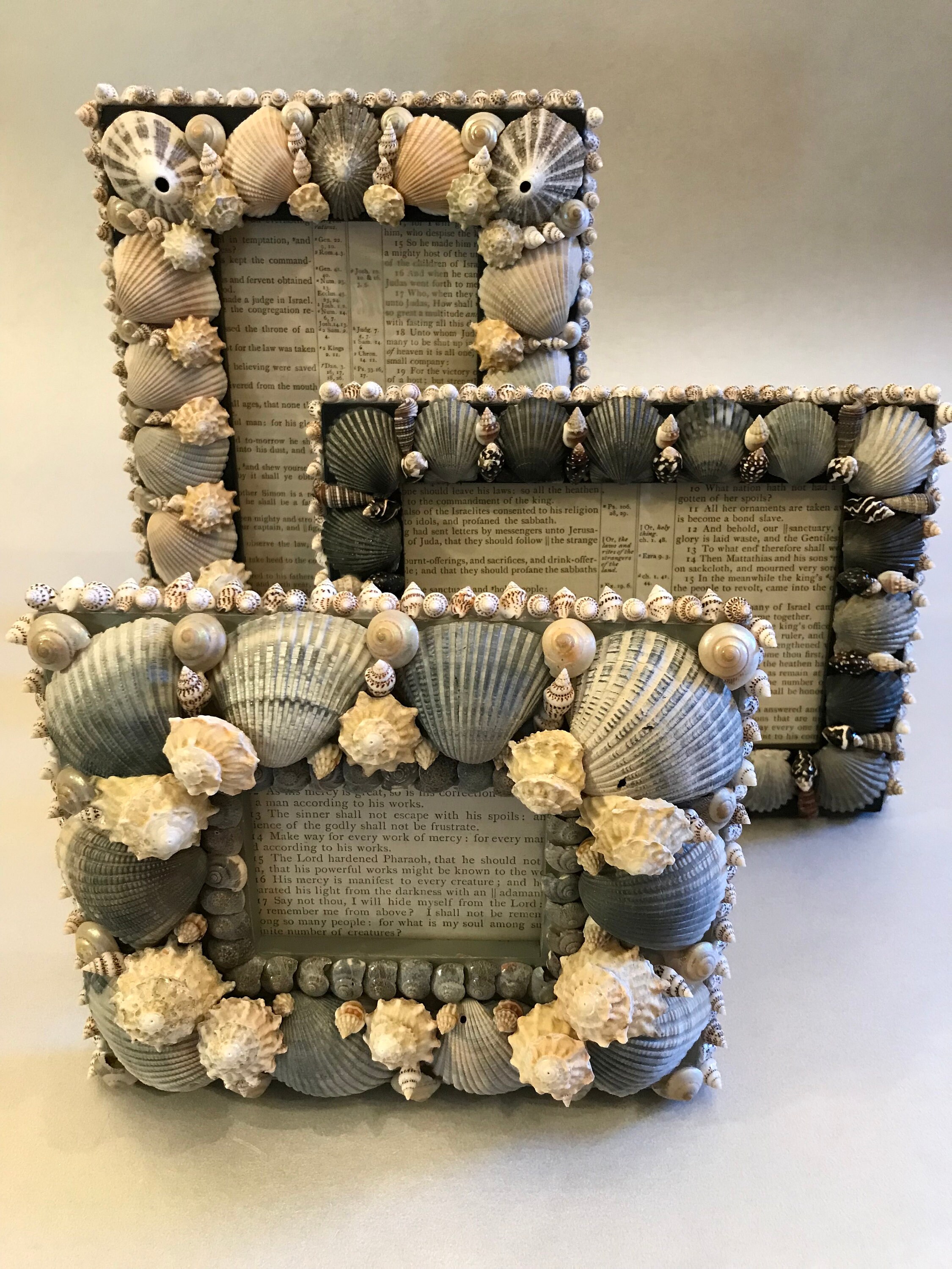 Handmade Shell Frame Embellished Seashell Frame Decorative 