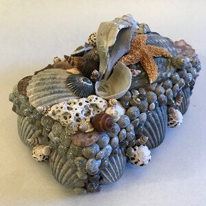 Handmade Shell Box, Encrusted Seashell Box, Ring Box - Etsy