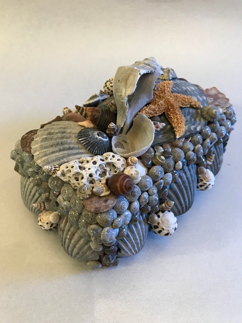 ByDesignShellArt Shell Box - Thumbnail 5