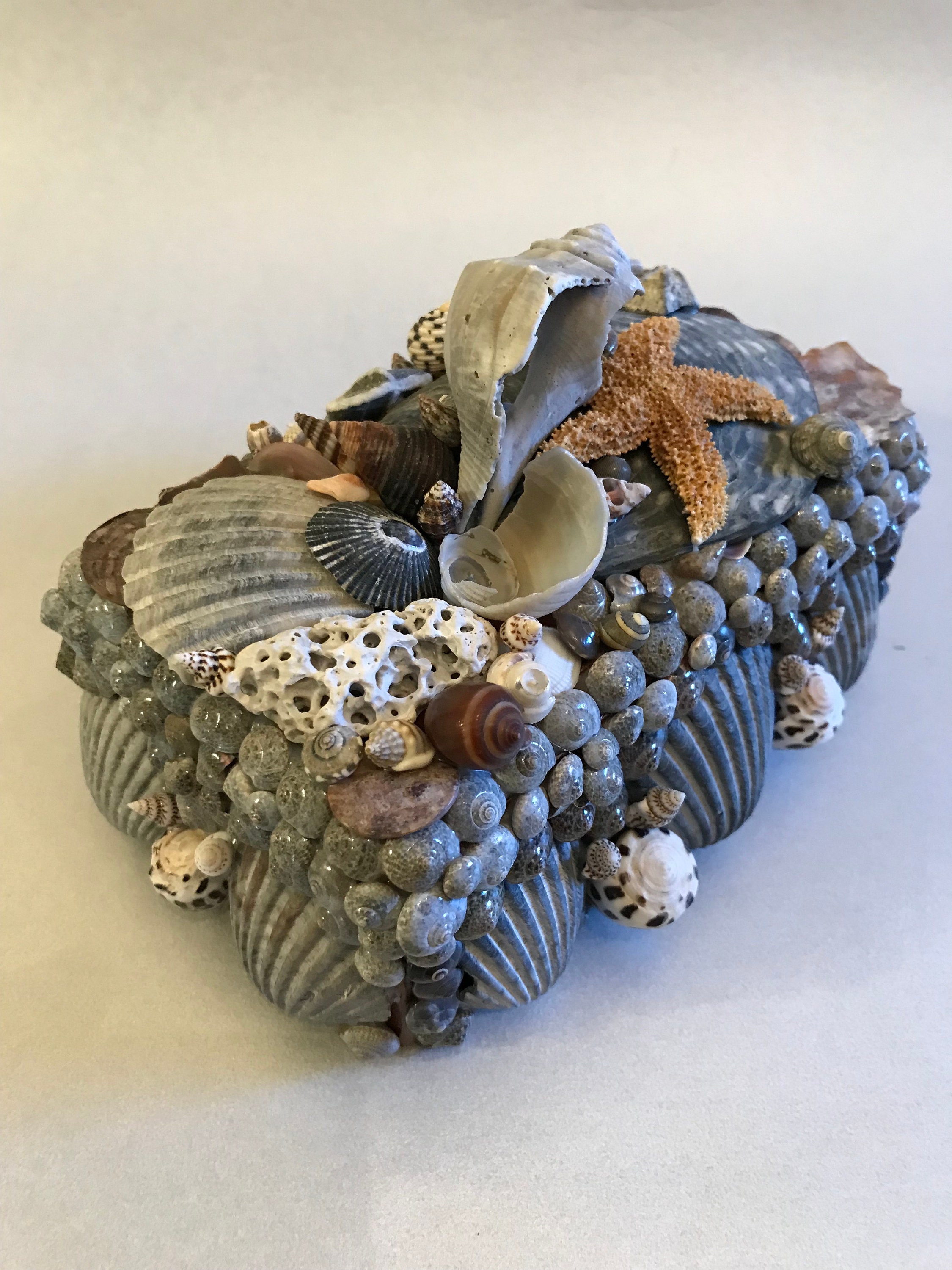 Handmade Seashell Box, Gulf Coast Shells, Coastal Decor - Etsy