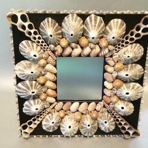 May include: A square mirror with a black frame decorated with various seashells. The border features large, grey-striped limpet shells, small tan spiral shells, and long, porous tube-like shells arranged in a symmetrical pattern around the glass.