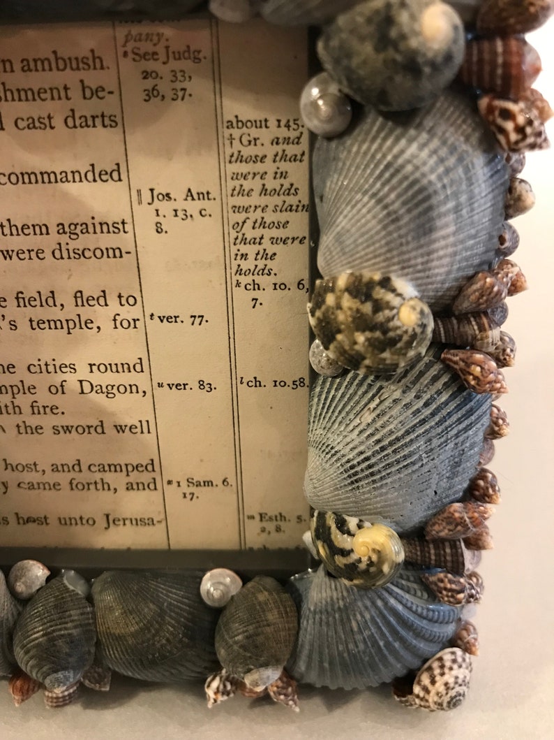 Handmade Shell Frame Seashell Picture Frame Sea Shell Photo - Etsy