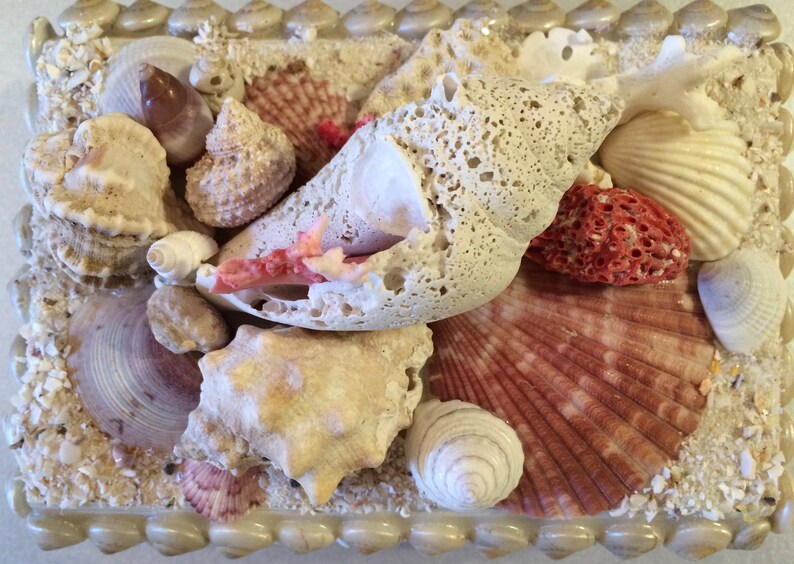 Handmade Seashell Box Encrusted Treasue Box Beach Decor Ocean - Etsy