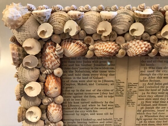 Handmade Shell Frame Embellished Seashell Frame Decorative 