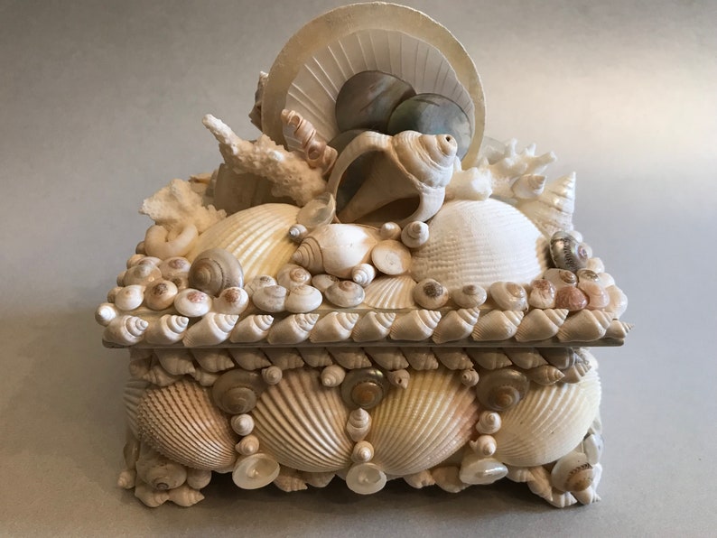 Seashell Ring Box Handmade Shell Box Etsy