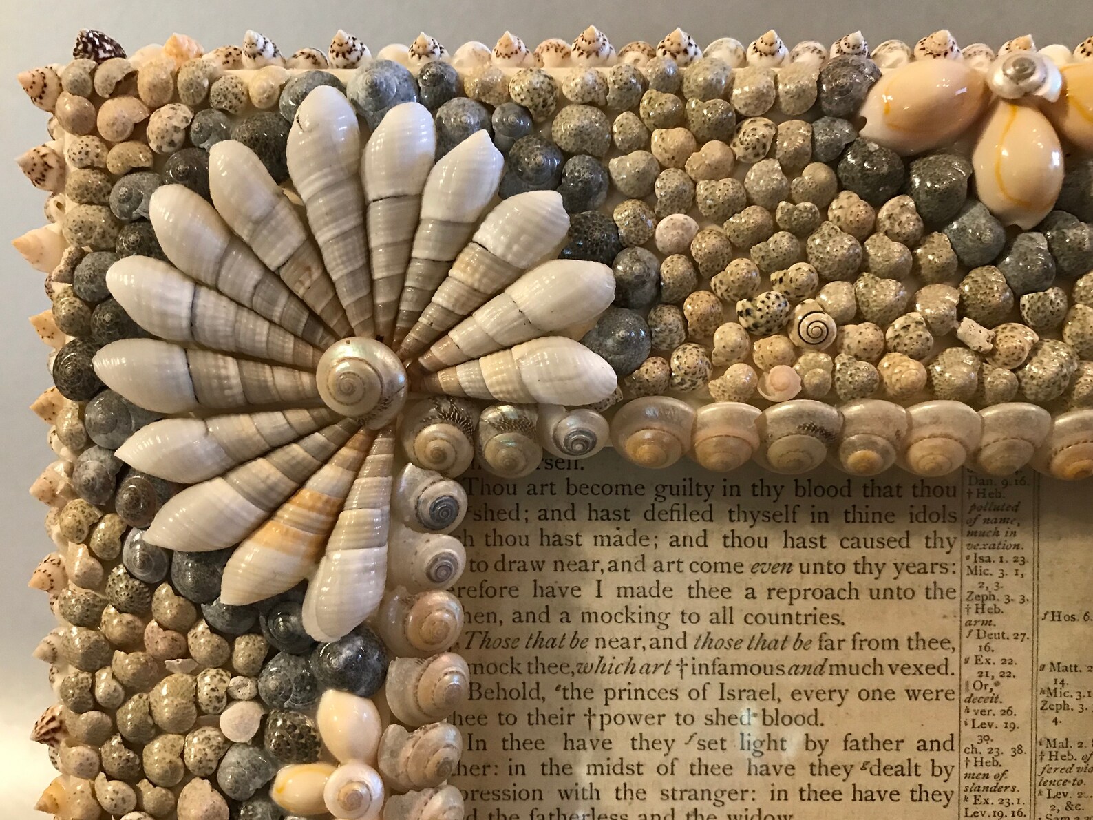 Handmade Seashell Frame Shell Frame Floral Series One of a Etsy