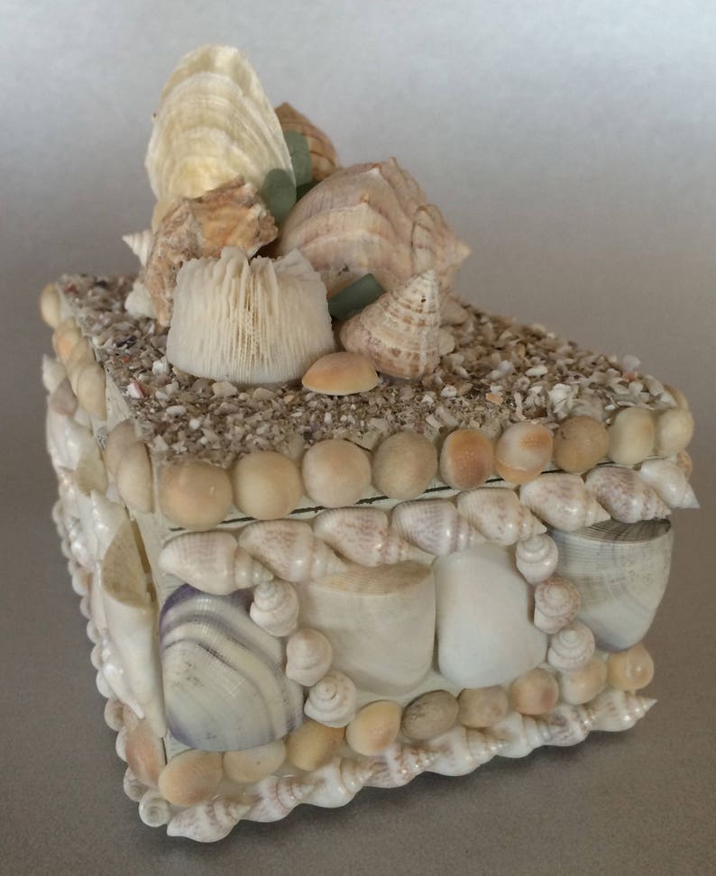 Handmade Seashell Box Oneofakind Shell Box Unique Art Gift Etsy