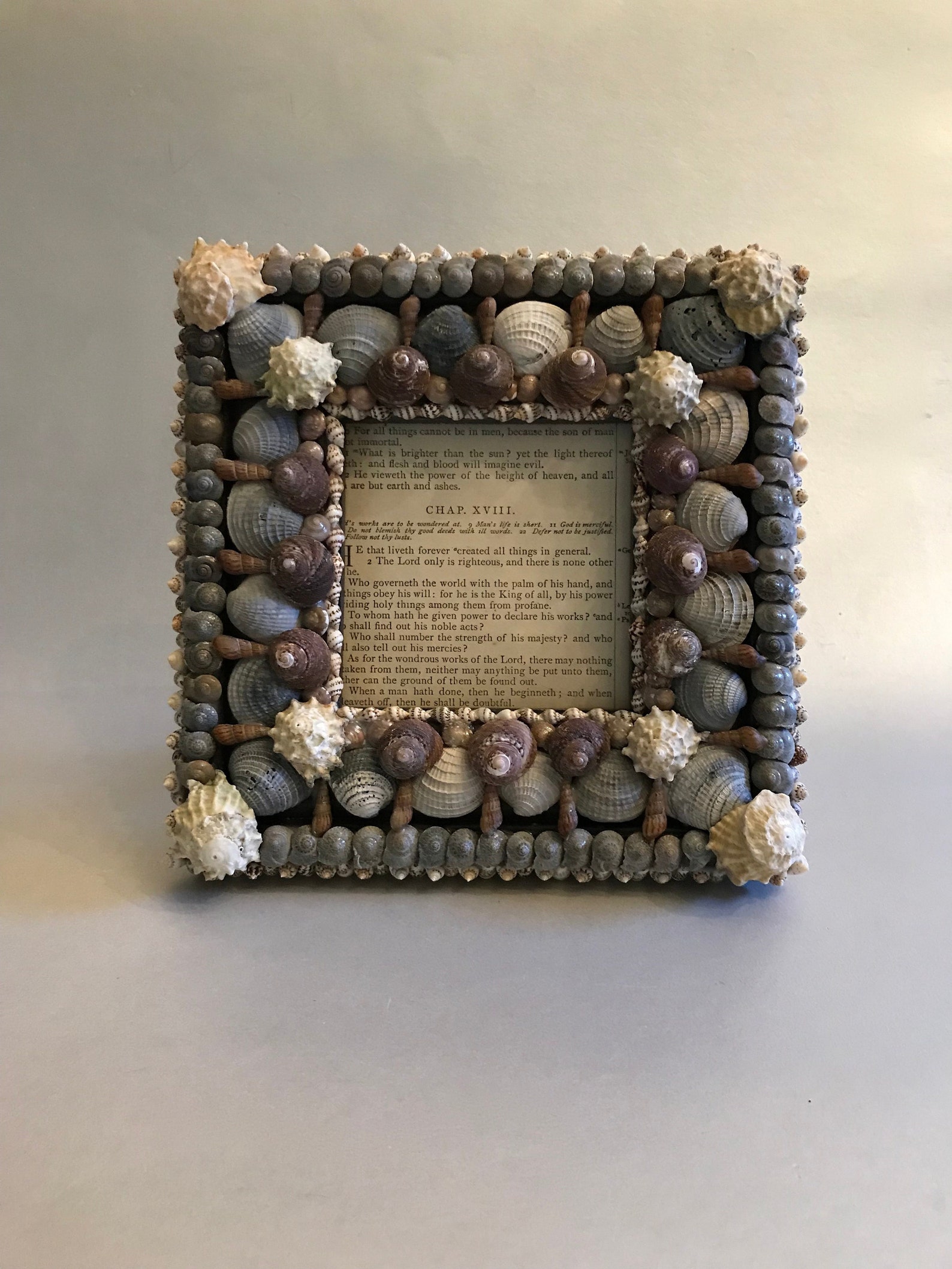 Handmade Shell Frame One of a Kind Seashell Frame - Etsy