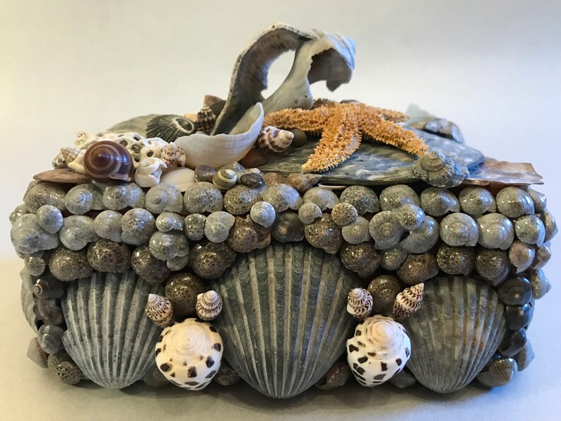 ByDesignShellArt Shell Box - Thumbnail 4