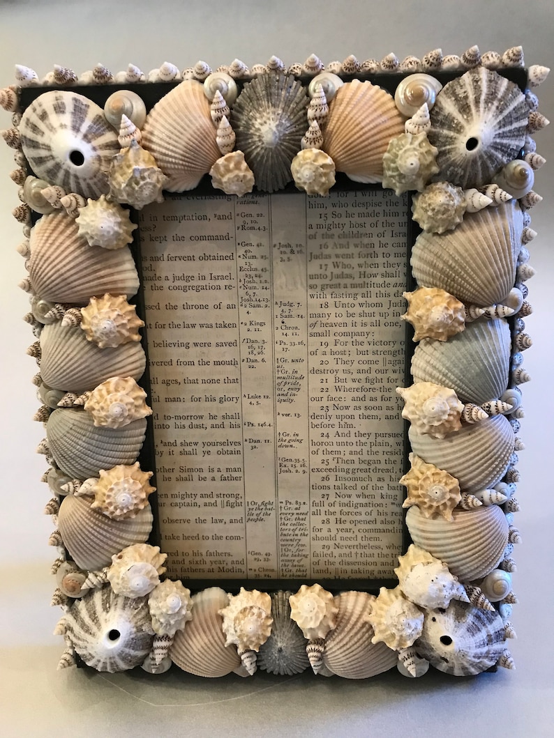 Seashell Scriptures Handmade Seashell Picture Frame With Hand Picked Shells - Etsy