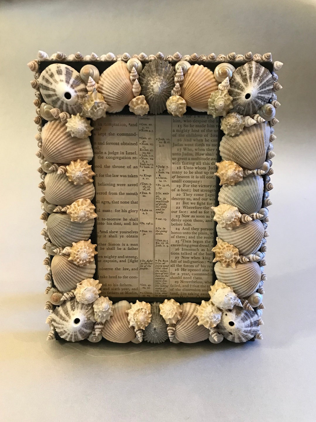 Handmade Seashell Frame, Shell Picture Frame, Embellished Sea Shell ...
