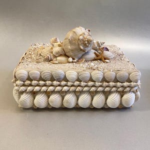 Embellished Shell Box, One of a Kind Seashell Box, Handmade Ivory Shell Box