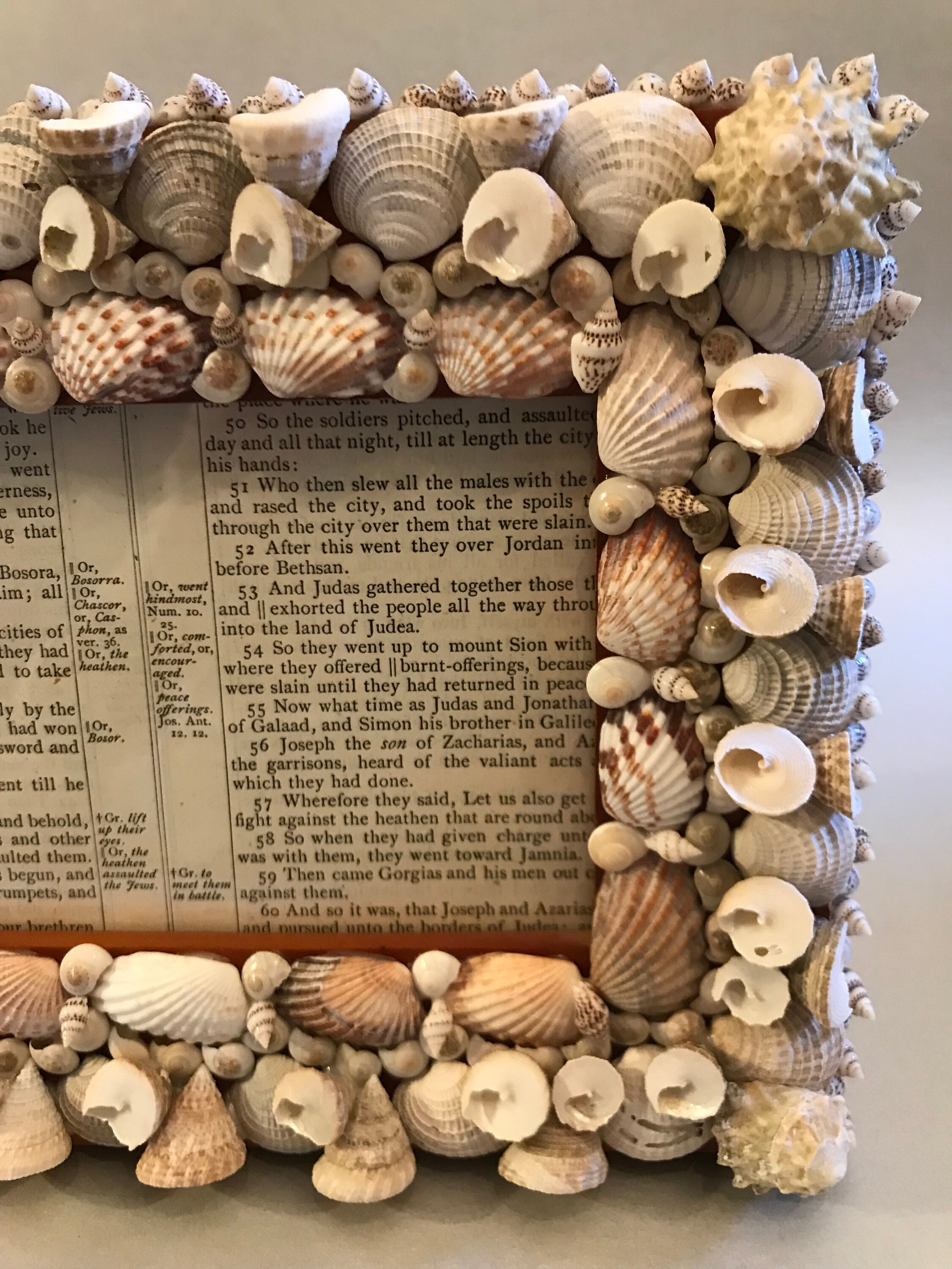 Handmade Shell Frame Embellished Seashell Frame Decorative 