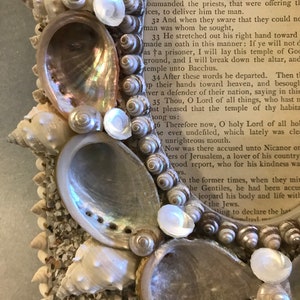 Handmade Shell Frame, One of a Kind Seashell Picture Frame, Pearlescent ...