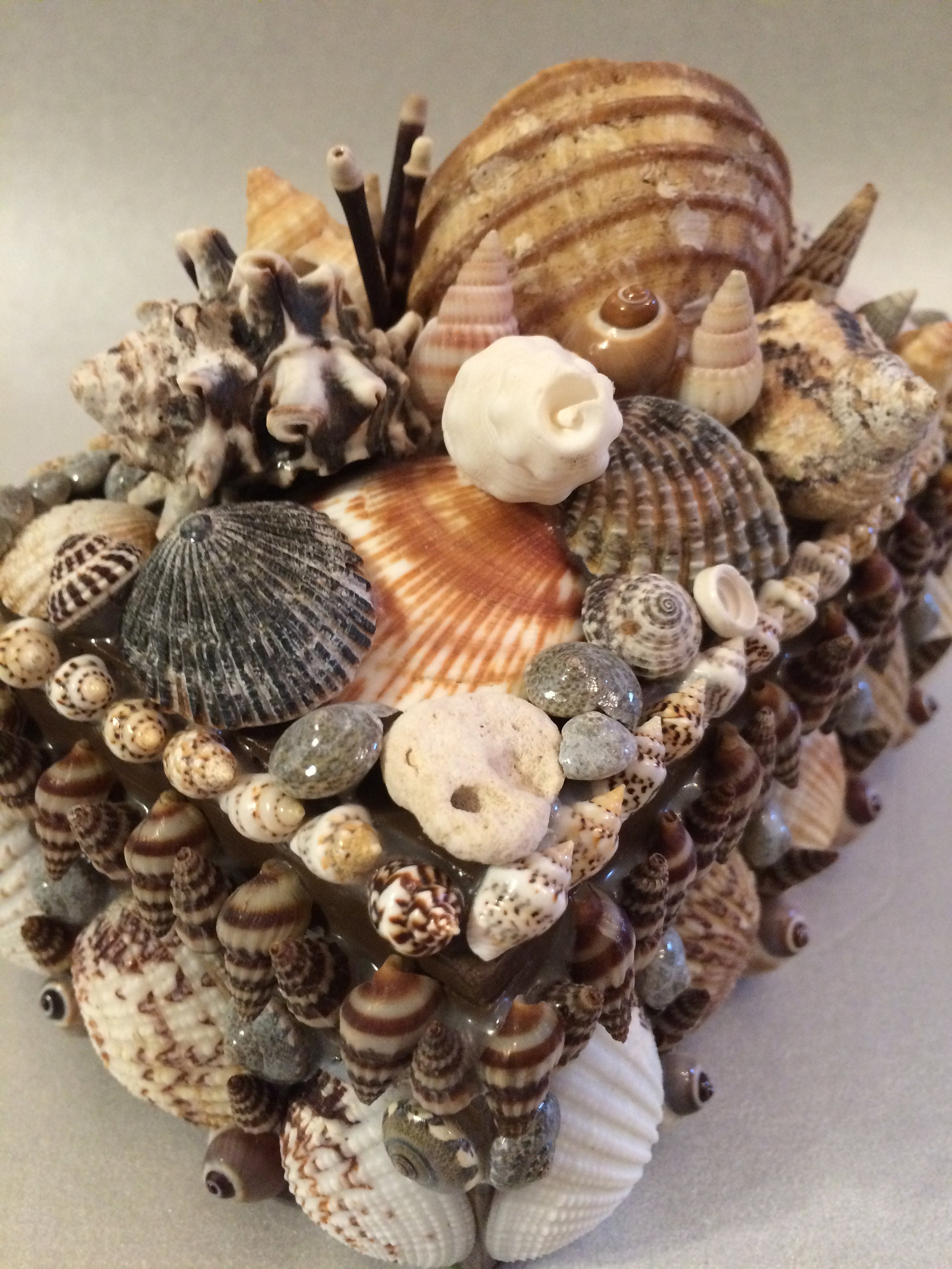 Handmade Shell Box Encrusted Seashell Box Hand Picked Shells - Etsy