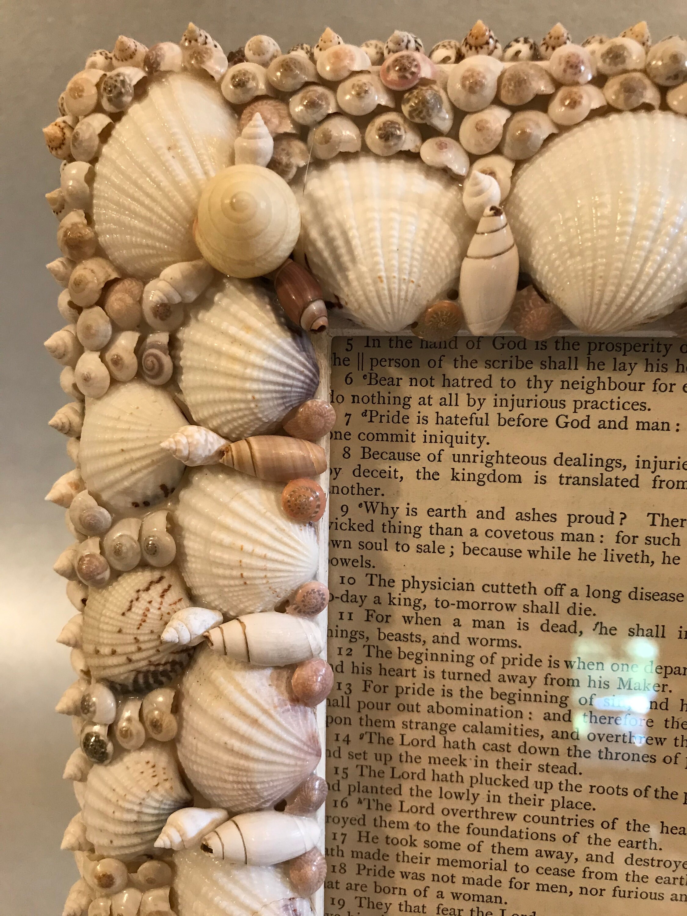 Handmade Shell Frame One of a Kind Seashell Frame Coastal Etsy